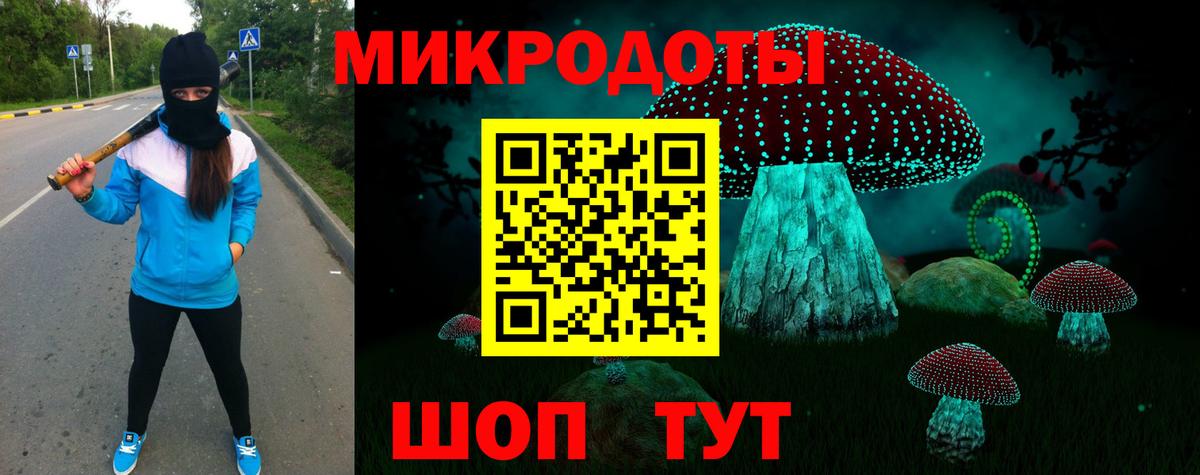 Псилоцибиновые грибы мицелий Азнакаево